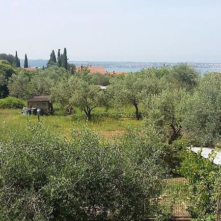 Apartma Iva Piran Extérieur photo