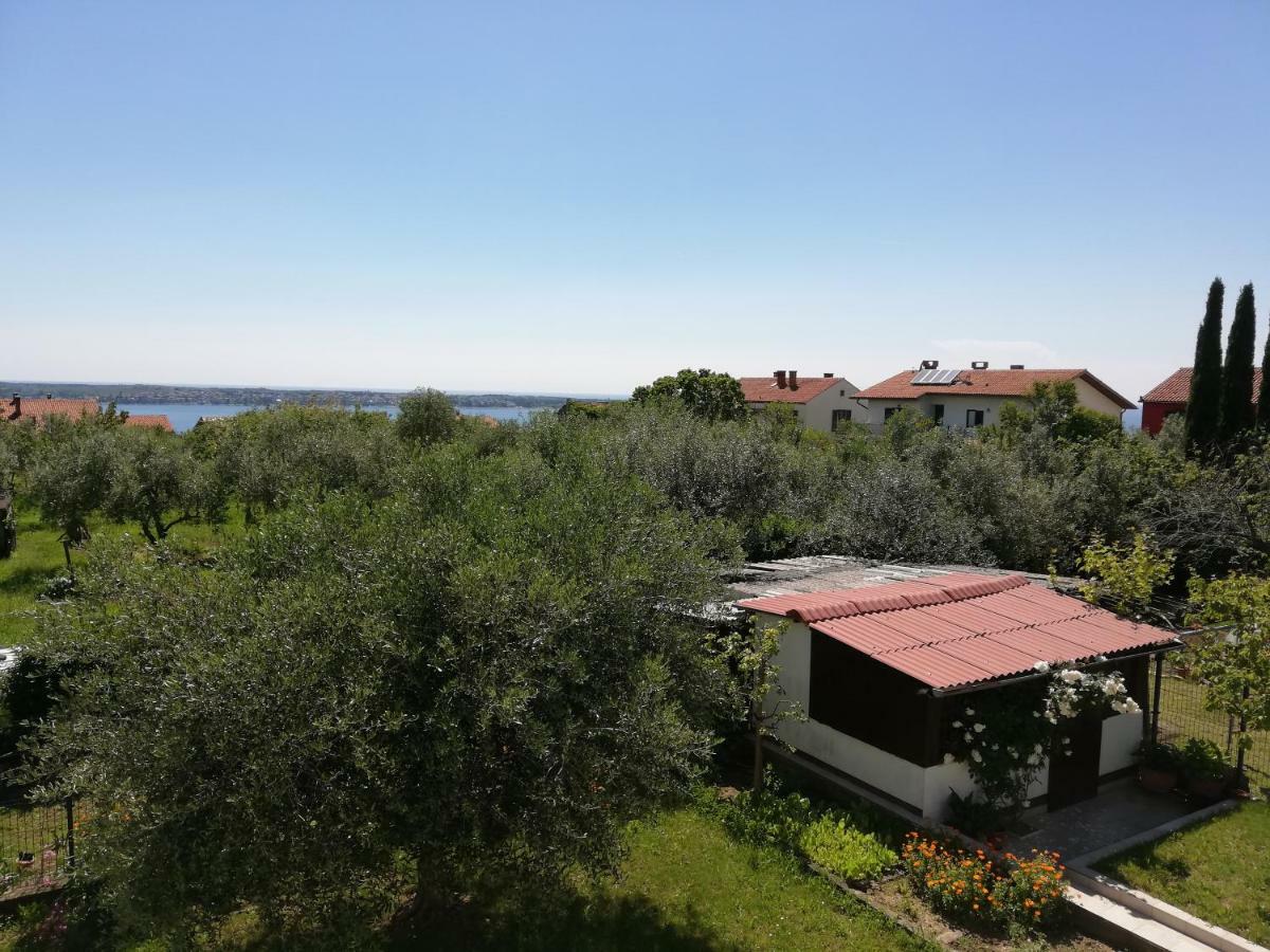 Apartma Iva Piran Extérieur photo